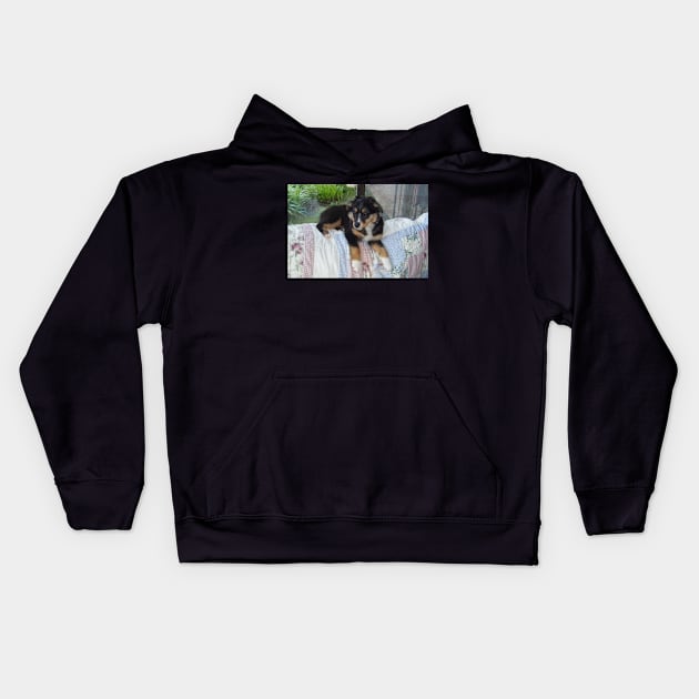 australian shepherd black tri puppy Kids Hoodie by Wanderingangel